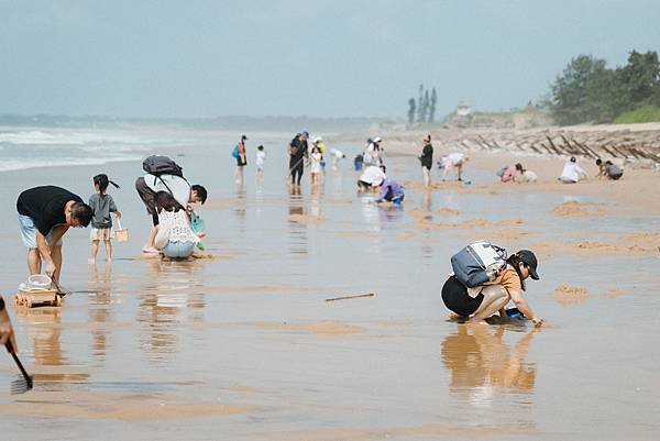 2025農遊金門│從摸蛤採蔬到百年家宴，一日感受金門最真實的