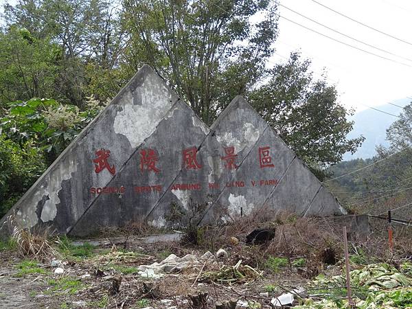 DSC04704.jpg DSC04704.jpg