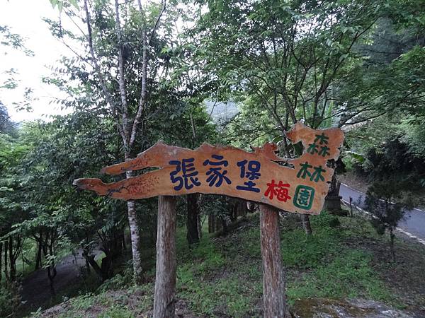 DSC05405.jpg DSC05405.jpg