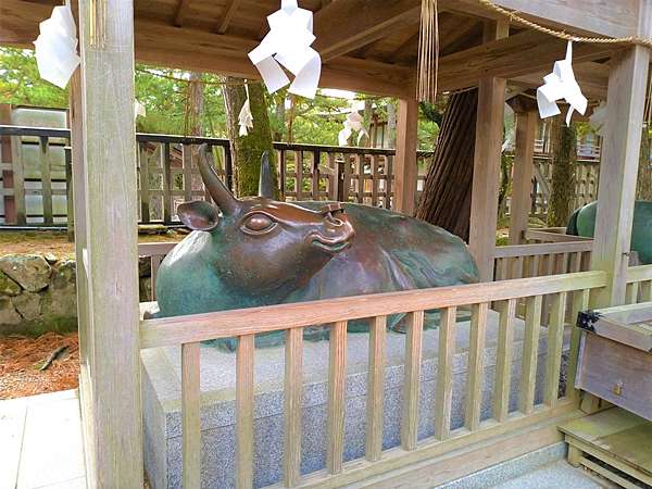 山陰地區出雲市 出雲大社之拜殿 本殿 八足門 神牛神馬 歡田堡 S Blog 痞客邦