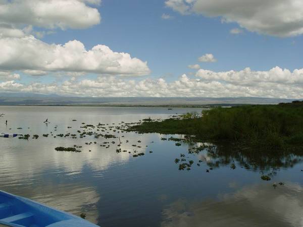 Lake Naivasha