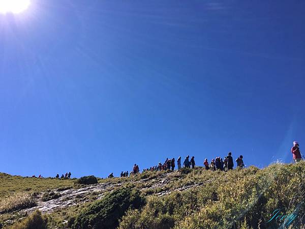 20161105合歡山第七梯day2北峰_6296.jpg 20161105合歡山第七梯day2北峰_6296.jpg