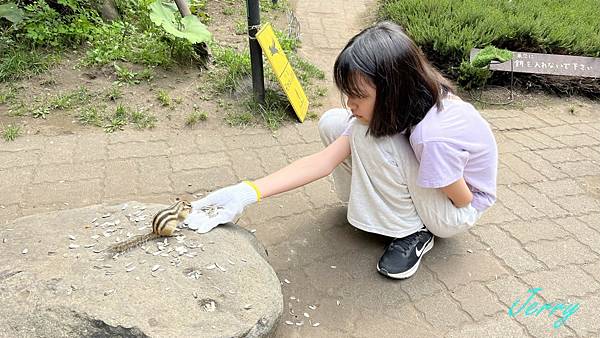 2023北海道之旅 第十天 花栗鼠公園，屈斜路湖