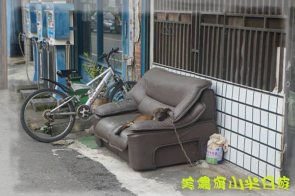 DSC06867.jpg