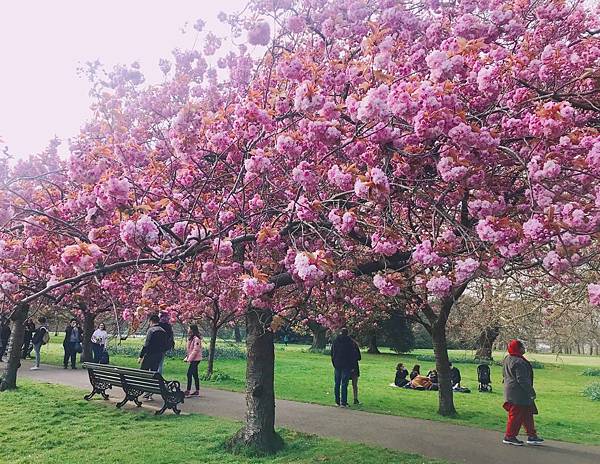 D7EC89DC-6F6A-4FC9-B9B8-472ECE05FE3F.jpg D7EC89DC-6F6A-4FC9-B9B8-472ECE05FE3F.jpg