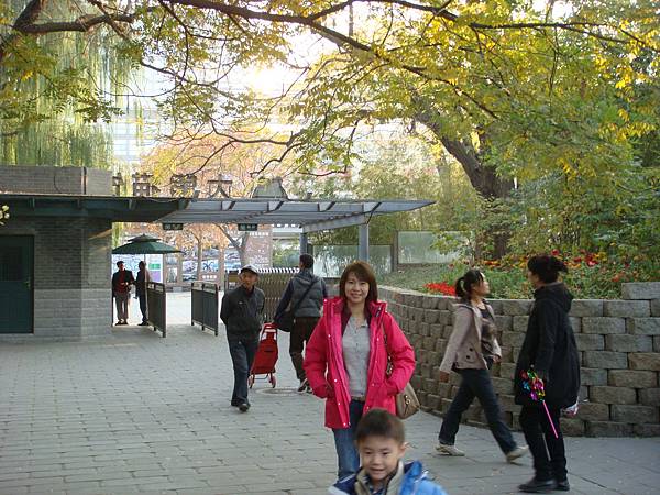 熊7.JPG 熊7.JPG