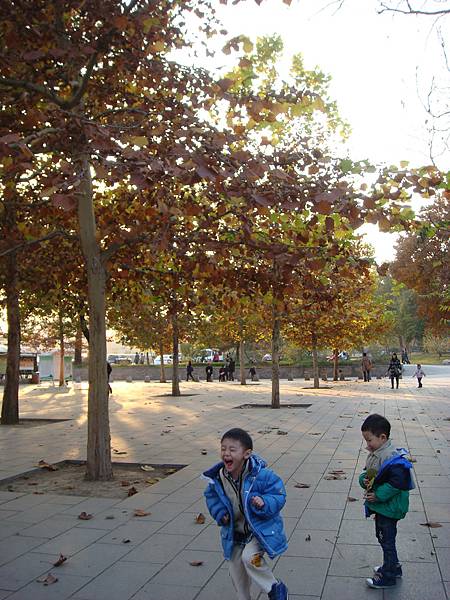 熊8.JPG 熊8.JPG