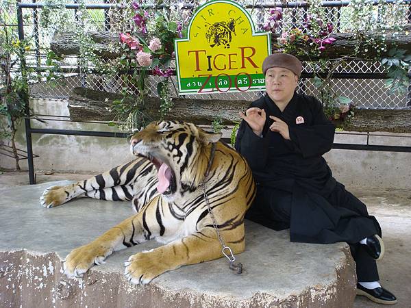 虎16.JPG 虎16.JPG