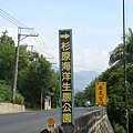 杉原6.JPG