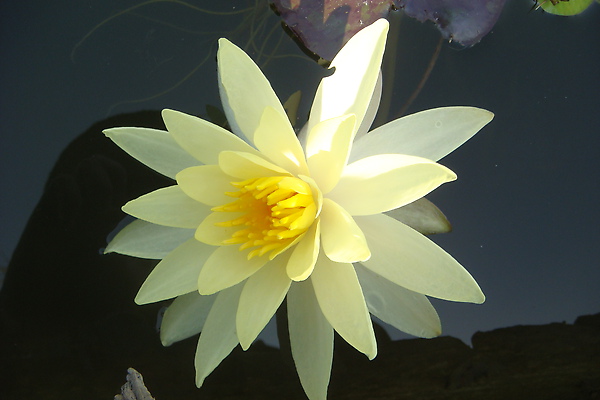 木8.JPG 木8.JPG