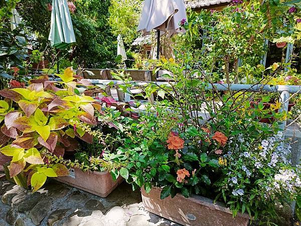 [花院子]-森林療癒系餐廳 尋找到城市裡的祕境 輕食午茶庭園