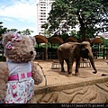 20150101 Saigon Zoo