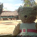 20150101 Saigon Zoo