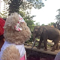 20150101 Saigon Zoo