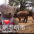 20150101 Saigon Zoo