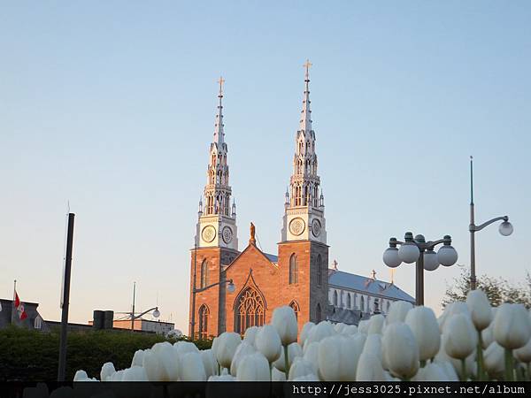 DSCF4938