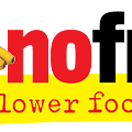 420px-No_Frills_Logo.svg