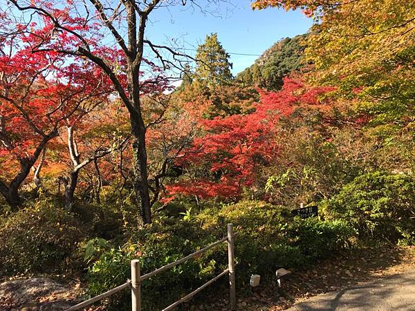 御船山樂園金陵湖湯布院_190308_0024.jpg