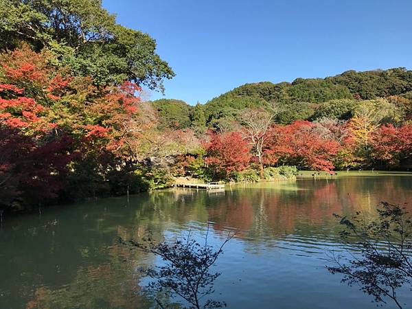 御船山樂園金陵湖湯布院_190308_0037.jpg