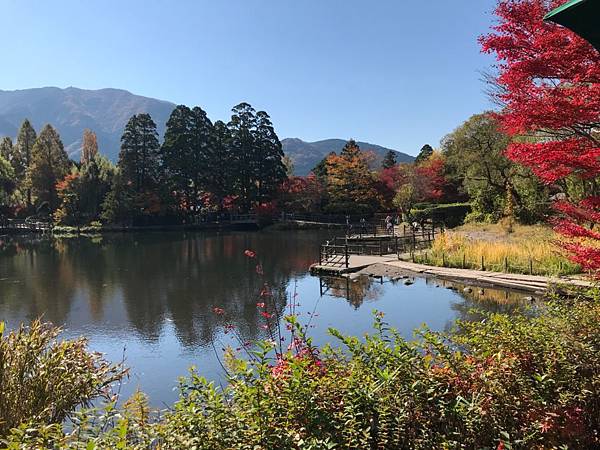 御船山樂園金陵湖湯布院_190308_0005.jpg