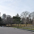 中央公園的View