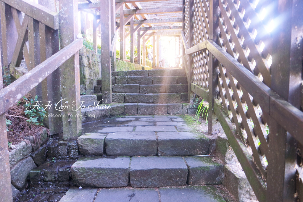 嘉義。阿里山住宿∥阿里山國家森林遊樂區♥高峰大飯店