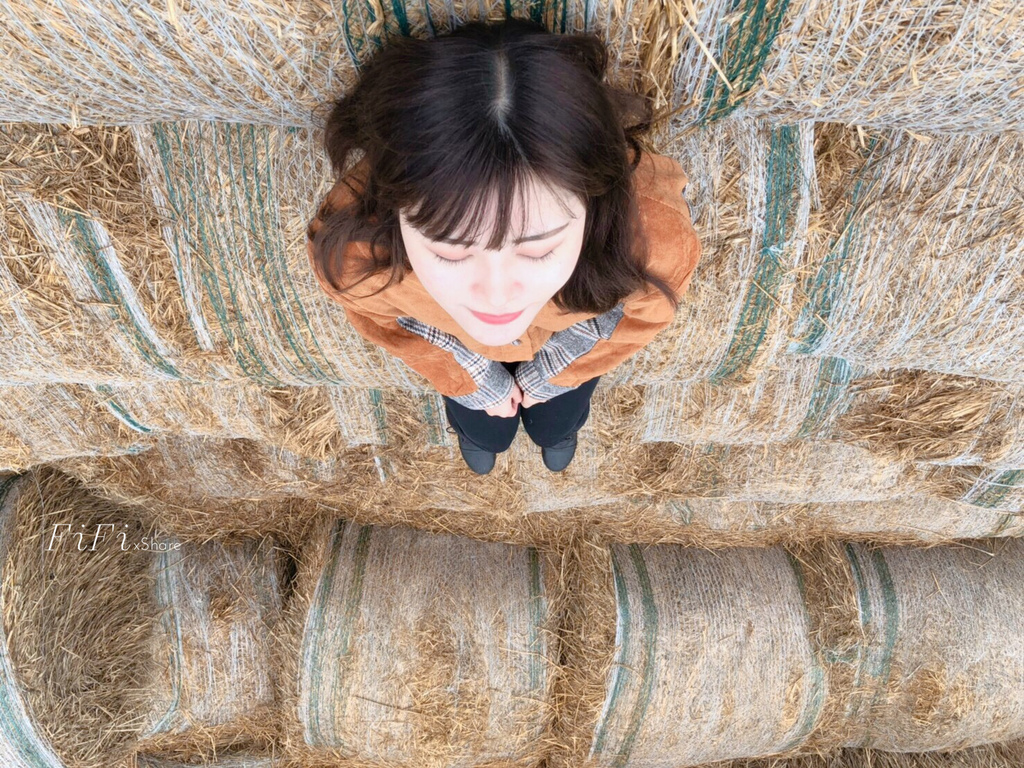 雲林景點∥金億陽蘑菇農場 – 最夯打卡景點 稻草捲心酥【20