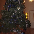 天馬大廳的極大聖誕樹!