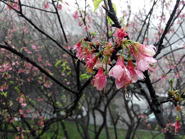 20150307貂山步道