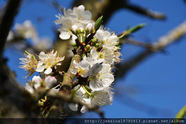DSC_5232 DSC_5232