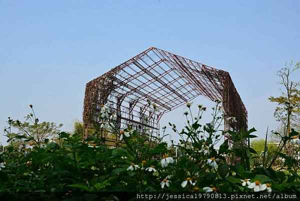 DSC_1386 DSC_1386