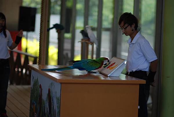 DSC_9358 DSC_9358