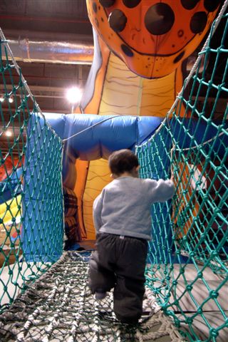 R0026209.JPG R0026209.JPG
