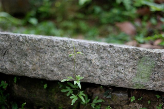 DSC_0429.JPG DSC_0429.JPG