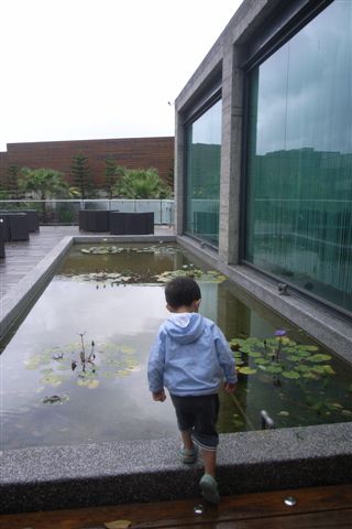 R0028081.JPG R0028081.JPG