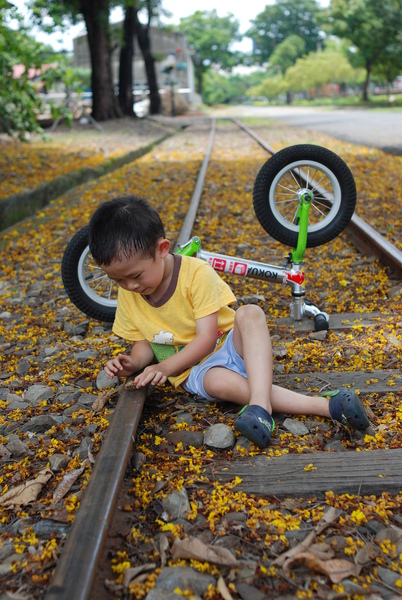 DSC_2595.JPG DSC_2595.JPG