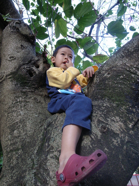 R0036133.JPG R0036133.JPG