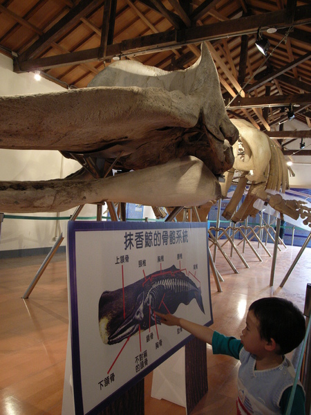 R0034730.JPG R0034730.JPG