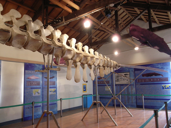 R0034720.JPG R0034720.JPG