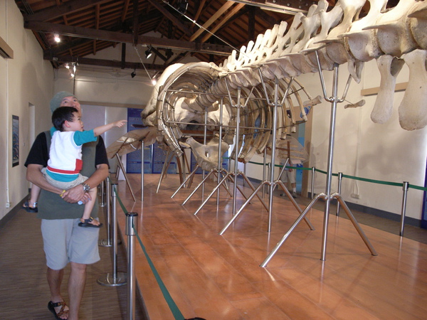 R0034713.JPG R0034713.JPG