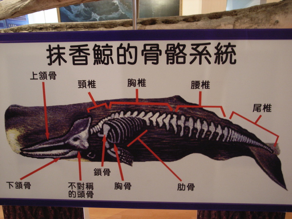R0034707.JPG R0034707.JPG