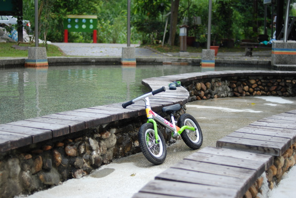 DSC_2729.JPG DSC_2729.JPG