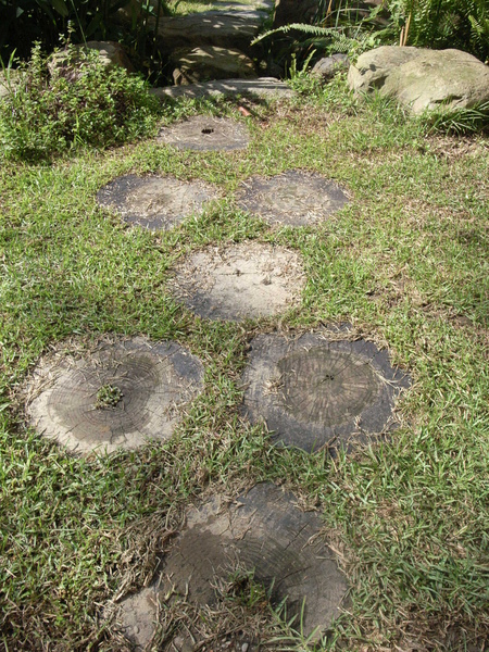 R0036456.JPG R0036456.JPG