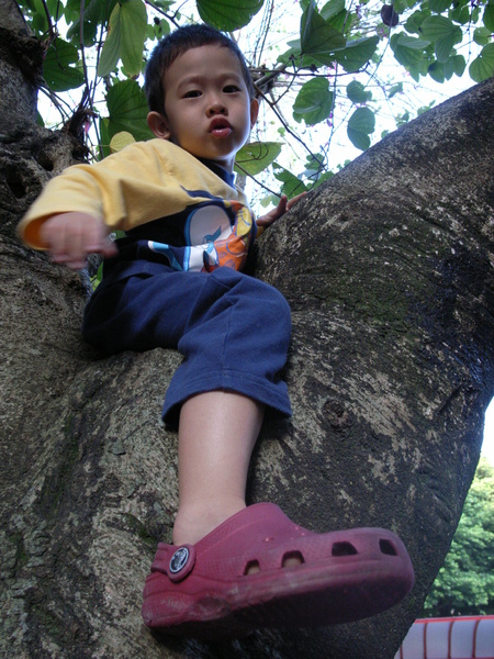 R0036123.JPG R0036123.JPG