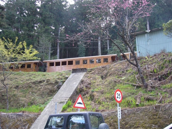 09.2.28~3.1 阿里山之旅--大塔山登頂成功 005.jpg