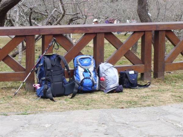 09.2.28~3.1 阿里山之旅--大塔山登頂成功 050.jpg