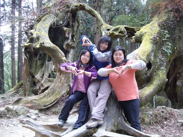 09.2.28~3.1 阿里山之旅--大塔山登頂成功 192.jpg