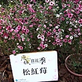 府城賞花季 054.jpg