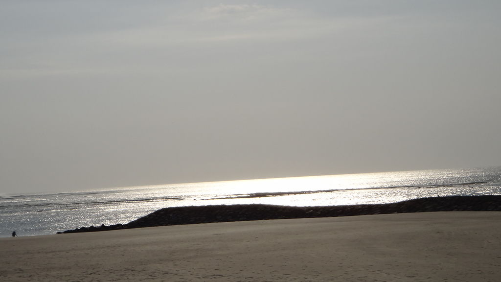 DSC02286 DSC02286