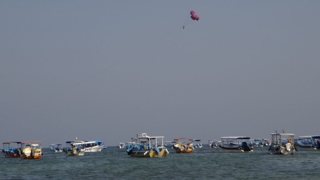 DSC03153 DSC03153